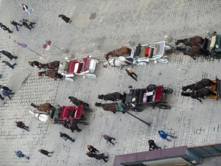 Transportmittel in Wien